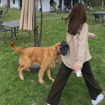 重生丫头狠狠爱
